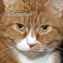The Torpedoes, Zeus CD