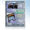 CSI Puzzles Sales Flyer
